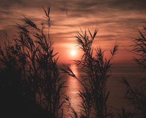 Intensiver, blutroter Sonnenuntergang am Mittelmeer, Blick durch Gesträuch