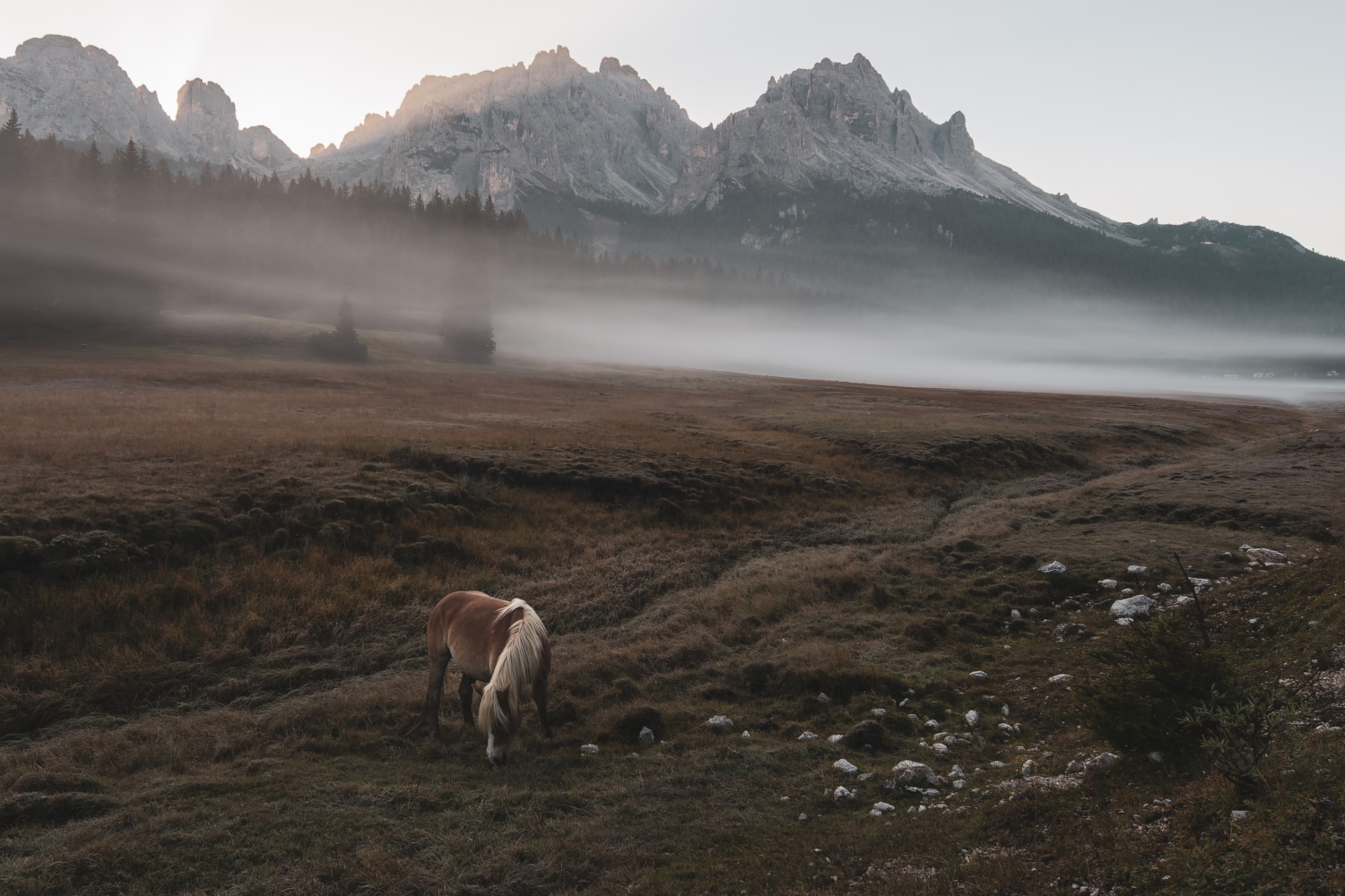 Stimmungsvoller Morgennebel in den Dolomiten, Berggipfel und Weideland im Vordergrund