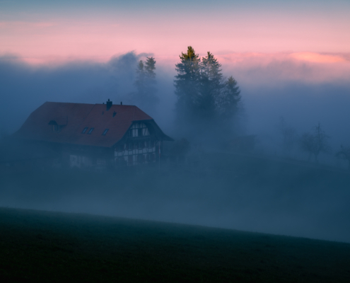 Gehört in dichten, kühlen Nebelschwaden, im Hintergrund Schweizer Berggipfel im Abendrot