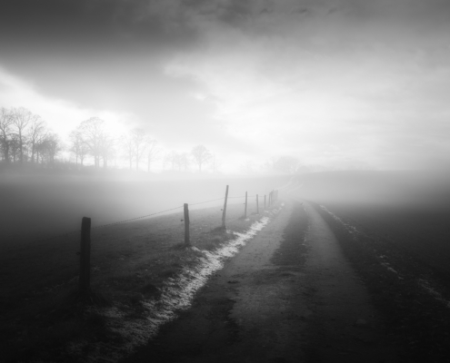 Schwarzweissbild mit Winternebel über einem Feldweg