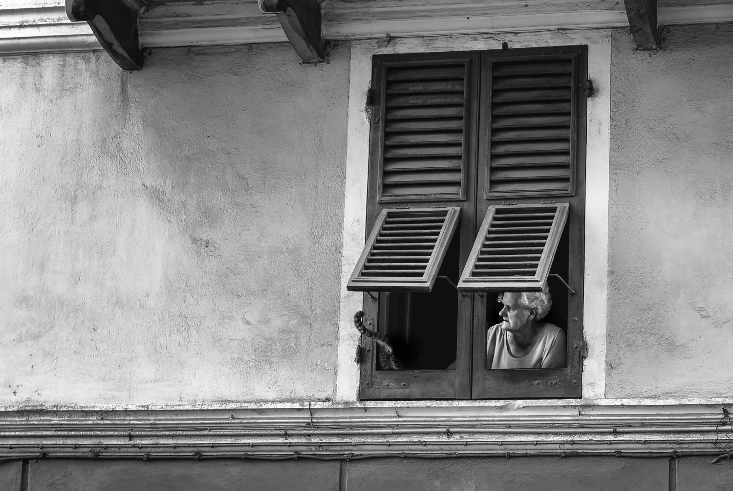 Schwarzweiss-Strassenszene, ältere Dame mit Katze am Fenster