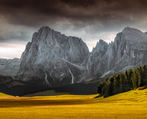 Panoramablick auf Langkofel und Plakofel, als Kulisse für die Seiser Alm in den Dolomiten (IT)