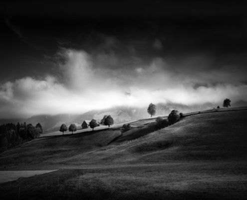 Schwarzweiss-Landschaft im Emmental (CH), mit Feldern und einzelnen Bäumen sowie aufsteigendem Nebel
