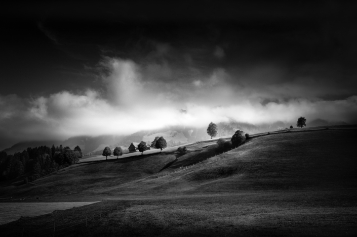 *** Moody Autumn Day at Emmental (Switzerland) *** Schwarzweiss-Landschaft im Emmental (CH), mit Feldern und einzelnen Bäumen sowie aufsteigendem Nebel
