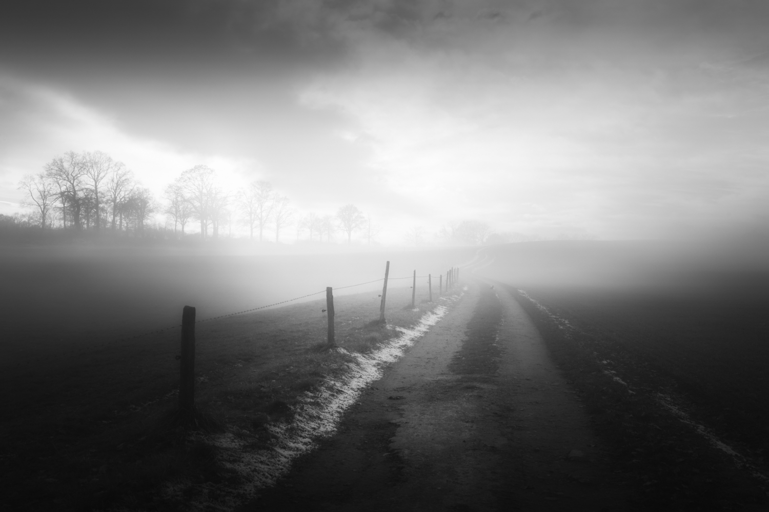 Schwarzweiss-Landschaft im Nebel und in trüber Lichtstimmung auf einem Feldweg im Kanton Fribourg (CH)